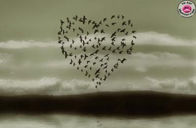 pour sokhna  de mohamed